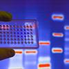 DNA testing