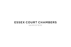Practitioners with expertise in commercial disputes